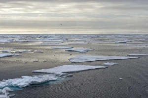 Arctic Ocean, Norway, Scandinavia, Europe
