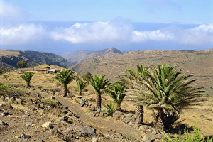 La Gomera Prints: Area between Alajero and Erquito, La Gomera, Canary Islands, Spain, Europe