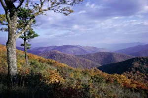 Shenandoah Prints: Area near Loft Mountain