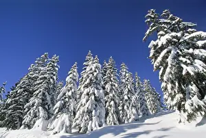 Enjoyment Prints: Areches ski resort, commune of Beaufort-sur-Doron