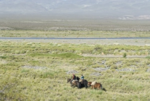 Images Dated 3rd February 2008: Argentine cowboys in the pampas, near Malargue, Argentina, South America