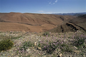 Draa Valley Prints: Arid landscape in the Draa valley between Ouarzazate and Agdz
