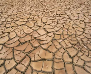 Arid Landscape Prints: Arid landscape of dry cracked earth in a drought, South Australia, Australia, Pacific