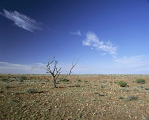 Outback Prints: Arid landscape, the Outback, South Australia, Australia, Pacific