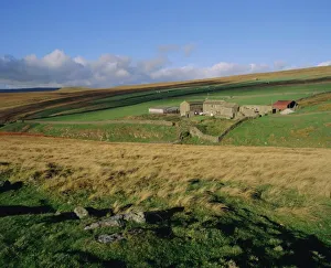 Farm Prints: Arkengarthdale, Yorkshire Dales National Park, Yorkshire, England, UK, Europe
