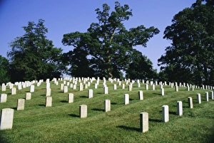 Gravestone Prints: Arlington Cemetery