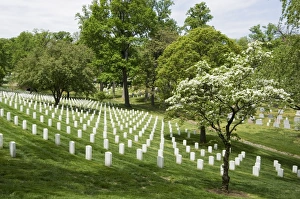 Images Dated 4th January 2000: Arlington National Cemetery