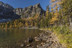 Arnica Lake in autumn with Larch trees and Mountains, Banff National Park