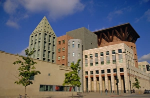 Public Library Prints: Art Museum and Public Library