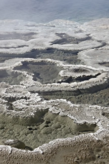 Images Dated 7th October 2009: Artemesia Geyser Pool, Yellowstone National Park, UNESCO World Heritage Site