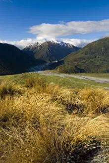 Images Dated 18th November 2008: Arthurs Pass National Park, South Island, New Zealand, Pacific