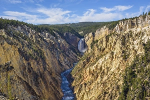 Jagged Prints: Artists Point looking towards Lower Falls, Grand Canyon, Yellowstone National Park