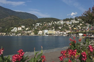 Ticino Prints: Ascona, Locarno, Lake Maggiore, Ticino, Switzerland, Europe