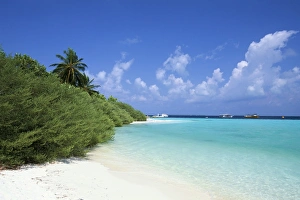 Wonderful Prints: Asdu Island