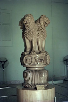 Ashoka Lion