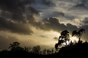 Bristol Prints: Ashton Court, Bristol, England, United Kingdom, Europe