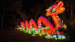 Displays Prints: Asian Lantern Festival, Central Florida Zoo, United States of America
