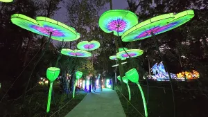Enchanting Prints: Asian Lantern Festival, Central Florida Zoo, United States of America