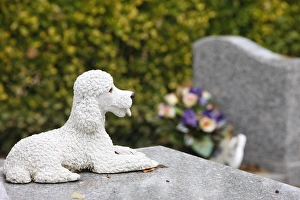 Tomb Stone Prints: Asnieres animal cemetery, Asnieres, Hauts de Seine, France, Europe