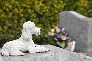 Asnieres animal cemetery, Asnieres, Hauts de Seine, France, Europe