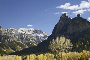 Aspens and cottonwoods in fall colors