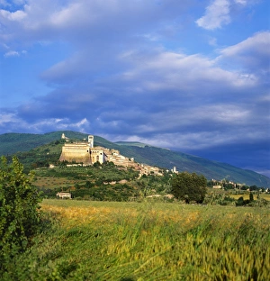 Assisi Prints: Assisi, Umbria, Italy