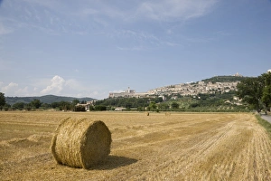 Images Dated 29th June 2008: Assisi, Umbria, Italy, Europe