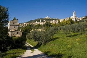 Umbria Prints: Assisi, UNESCO World Heritage Site