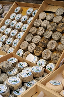 French Food Prints: Assorted French cheeses on a market stall, France, Europe
