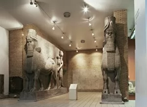 British Museum Collection: Assyrian winged bulls from Khorsabad, British Museum, London, England, United Kingdom