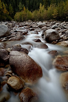 Images Dated 1st October 2009: Astoria River, Jasper National Park, UNESCO World Heritage Site, Alberta