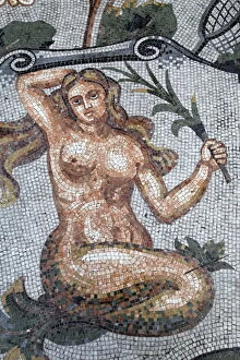 Images Dated 17th December 2009: Astral sign of Virgo in mosaic in Galleria Umberto, Naples, Campania, Italy, Europe