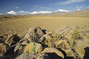 Atacama Prints: The Atacama Desert and snow capped Andes beyond, San Pedro de Atacama region