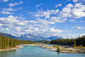 Snowcapped Prints: The Athabasca River flowing through Jasper National Park