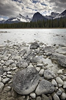 Albert A Prints: Athabasca River, Jasper National Park