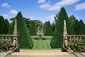 Topiary Prints: Athelhampton, Dorset, England, United Kingdom, Europe
