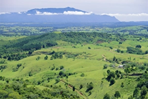 Grassland Prints: The Atherton Tablelands, Queensland, Australia