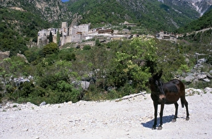 Mount Athos Prints: Athos, Greece