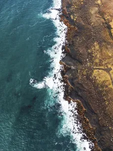 Rock Cliff Prints: Atlantic puffins nesting in Iceland on the cliffs by the ocean. Autumn, 2022
