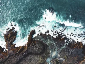 Rock Cliff Prints: Atlantic puffins nesting in Iceland on the cliffs by the ocean. Autumn, 2022