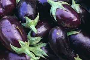 Back Ground Collection: Aubergines