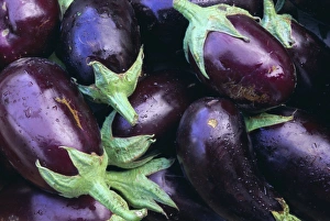 Images Dated 4th August 2008: Aubergines