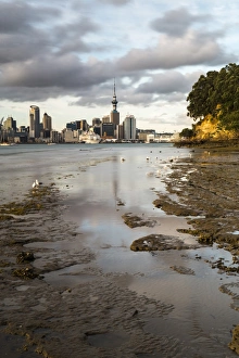 Auckland Prints: Auckland skyline seen across the harbour from Bayswater