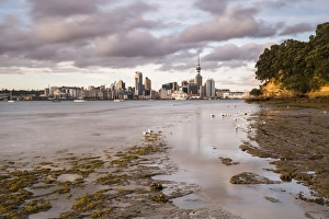 Auckland Prints: Auckland skyline at sunrise, Auckland, North Island, New Zealand, Pacific