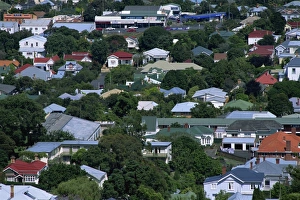 Auckland suburbs from Mt