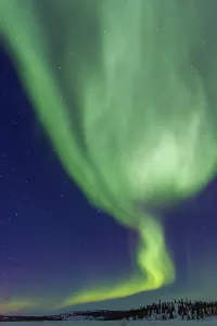 Northern Prints: Aurora Borealis with bright lights over trees at Great Slave Lake in Northwest Territories