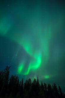Glowing Prints: Aurora Borealis over coniferous forest at night, Muonio, Northern Finland, Finland