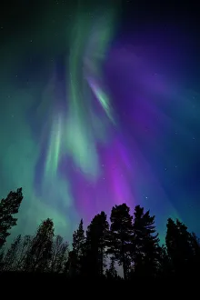 Glowing Prints: Aurora borealis, corona, Muonio, Finland, Scandinavia, Europe