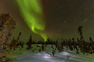 Northern Prints: Aurora Borealis displays green lights over boreal forest in Northwest Territories during winter night sky