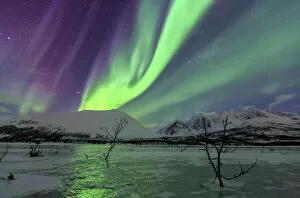 Natural Phenomena Collection: Aurora Borealis on the frozen lagoon of Jaegervatnet, Stortind, Lyngen Alps, Troms